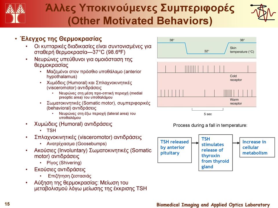 προ-οπτική περιοχή (medial preoptic area) του υποθαλάμου Σωματοκινητικές (Somatic motor), συμπεριφορικές (behavioral) αντιδράσεις Νευρώνες στη έξω περιοχή (lateral area) του υποθαλάμου Χυμώδεις