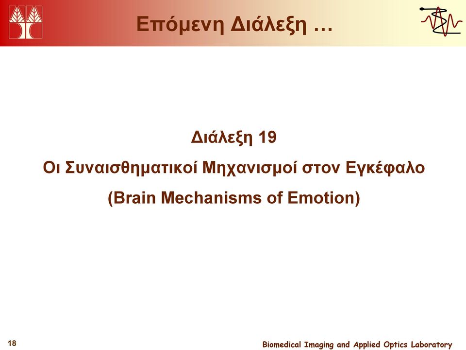 Μηχανισμοί στον Εγκέφαλο