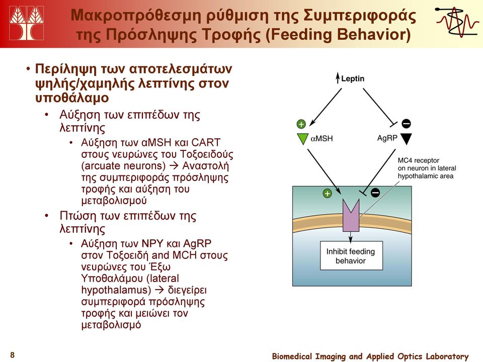 της συμπεριφοράς πρόσληψης τροφής και αύξηση του μεταβολισμού Πτώση των επιπέδων της λεπτίνης Αύξηση των NPY και AgRP στον