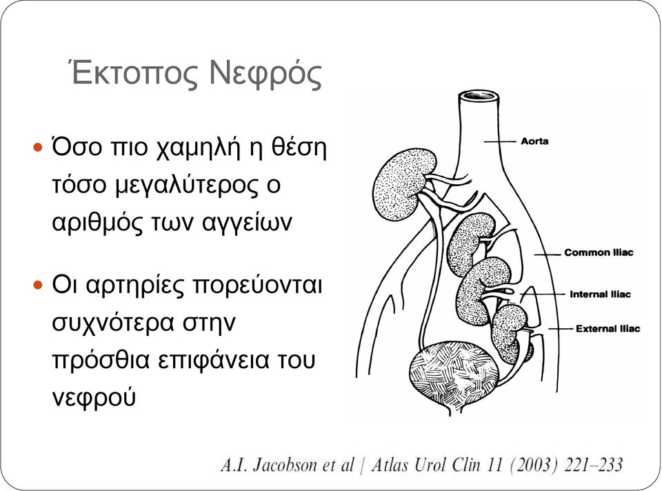 αγγείων Οι αρτηρίες πορεύονται