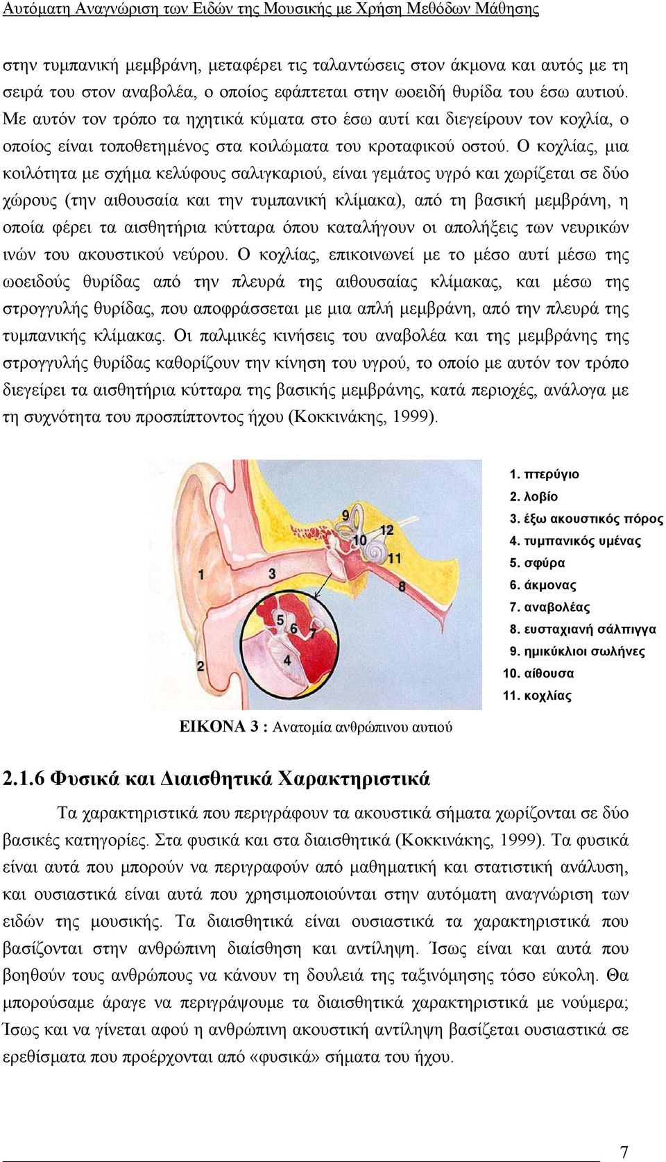 Ο κοχλίας, µια κοιλότητα µε σχήµα κελύφους σαλιγκαριού, είναι γεµάτος υγρό και χωρίζεται σε δύο χώρους (την αιθουσαία και την τυµπανική κλίµακα), από τη βασική µεµβράνη, η οποία φέρει τα αισθητήρια