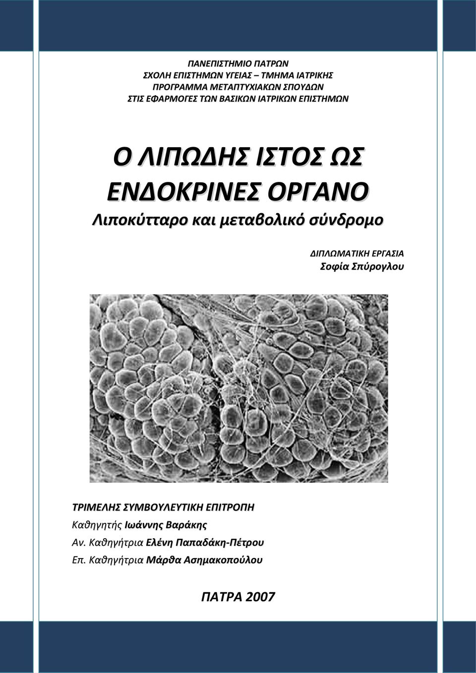 μεταβολικό σύνδρομο ΔΙΠΛΩΜΑΤΙΚΗ ΕΡΓΑΣΙΑ Σοφία Σπύρογλου ΤΡΙΜΕΛΗΣ ΣΥΜΒΟΥΛΕΥΤΙΚΗ ΕΠΙΤΡΟΠΗ