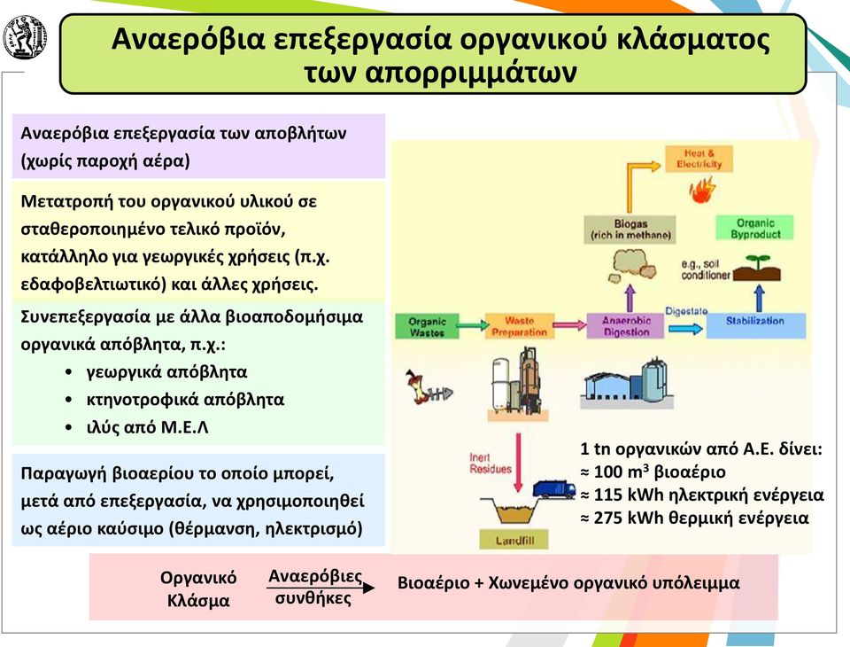 Ε.Λ Παραγωγή βιοαερίου το οποίο μπορεί, μετά από επεξεργασία, να χρησιμοποιηθεί ως αέριο καύσιμο (θέρμανση, ηλεκτρισμό) 1 tn οργανικών από Α.Ε. δίνει: 100 m 3 βιοαέριο 115 kwh ηλεκτρική ενέργεια 275 kwh θερμική ενέργεια Οργανικό Κλάσμα Αναερόβιες συνθήκες Βιοαέριο + Χωνεμένο οργανικό υπόλειμμα