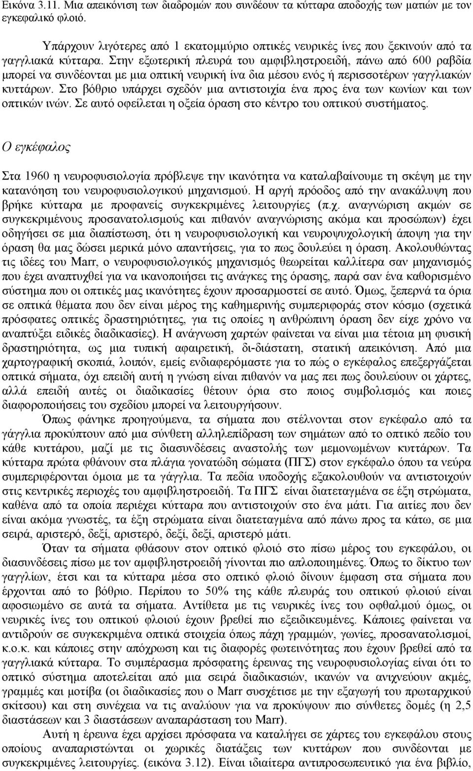 Στην εξωτερική πλευρά του αµφιβληστροειδή, πάνω από 600 ραβδία µπορεί να συνδέονται µε µια οπτική νευρική ίνα δια µέσου ενός ή περισσοτέρων γαγγλιακών κυττάρων.