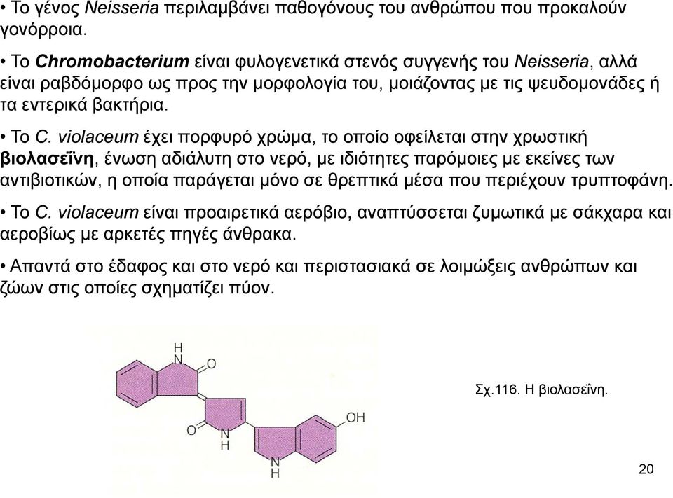 violaceum έχει πορφυρό χρώμα, το οποίο οφείλεται στην χρωστική βιολασεΐνη,, ένωση αδιάλυτη στο νερό, με ιδιότητες παρόμοιες με εκείνες των αντιβιοτικών, η οποία παράγεται μόνο σε