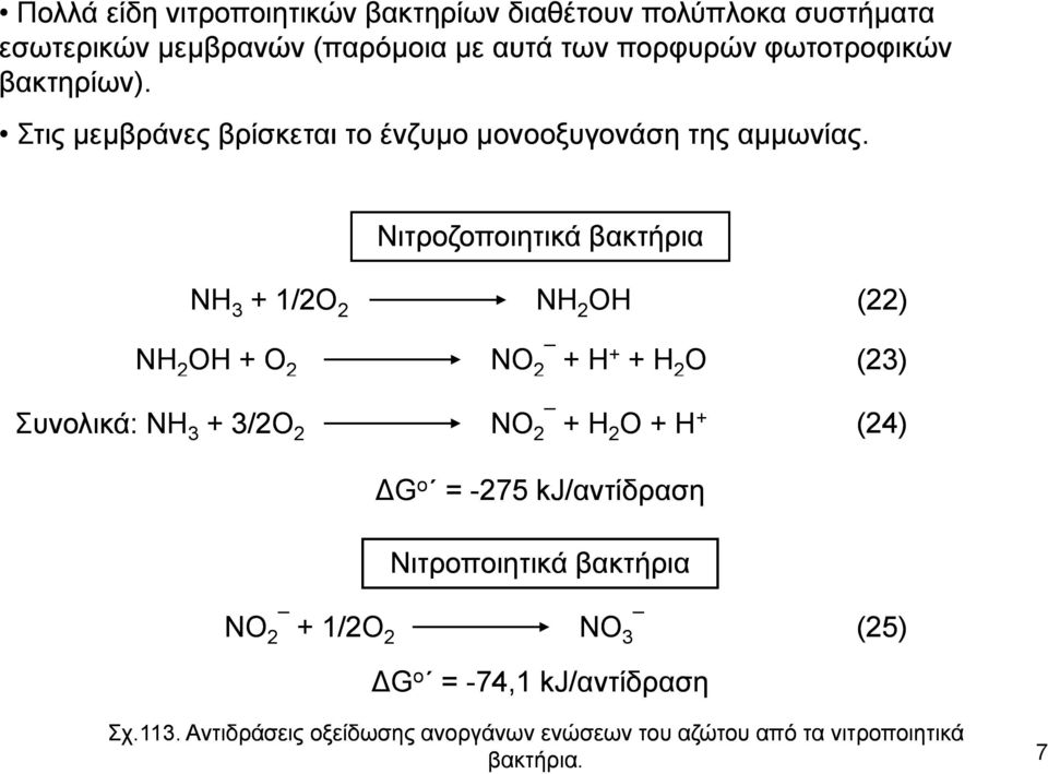 Νιτροζοποιητικά βακτήρια ΝΗ 3 + 1/2Ο 2 ΝΗ 2 ΟΗ (22) ΝΗ 2 ΟΗ + Ο 2 ΝΟ 2 + Η + + Η 2 Ο (23) Συνολικά: ΝΗ 3 + 3/2Ο 2 ΝΟ 2 + Η 2 Ο + Η +