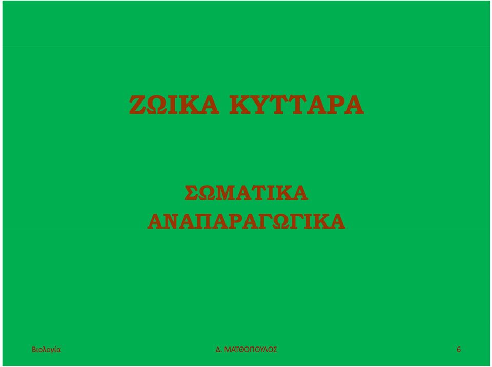 ΑΝΑΠΑΡΑΓΩΓΙΚΑ