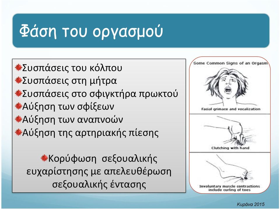 Αύξηση των αναπνοών " Αύξηση της αρτηριακής πίεσης " Κορύφωση