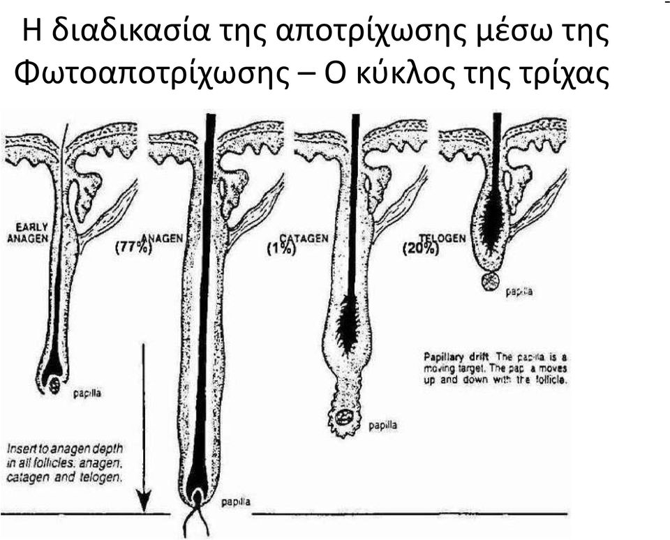 της