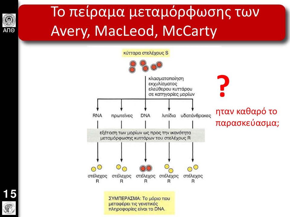 Avery, MacLeod,
