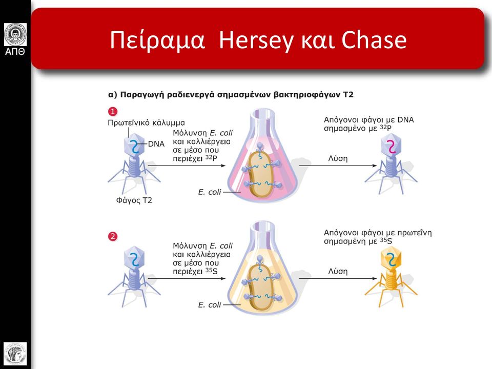 και Chase