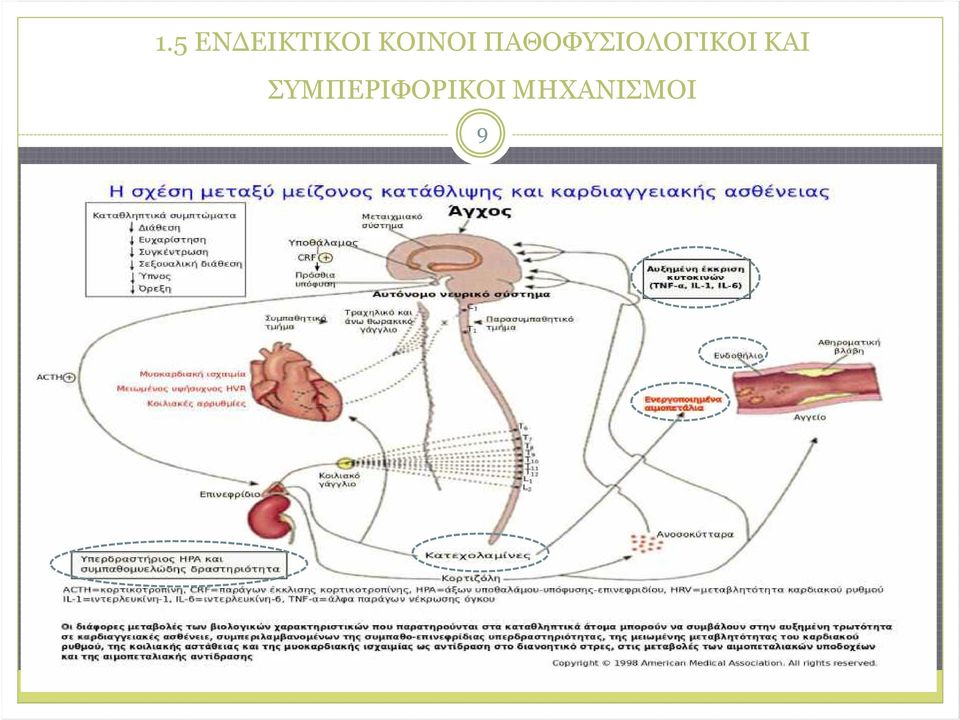 ΠΑΘΟΦΥΣΙΟΛΟΓΙΚΟΙ