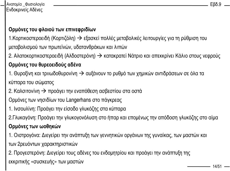 Θυροξίνη και τριιωδοθυρονίνη αυξάνουν το ρυθµό των χηµικών αντιδράσεων σε όλα τα κύτταρα του σώµατος 2.