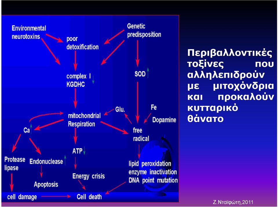 αλληλεπιδρούν με