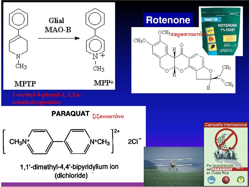 phenyl-1, 2,3,6-