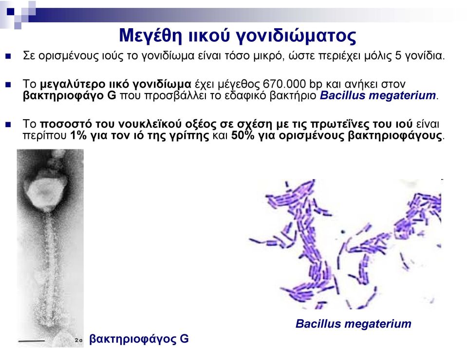 000 bp και ανήκει στον βακτηριοφάγο G που προσβάλλει το εδαφικό βακτήριο Bacillus megaterium.