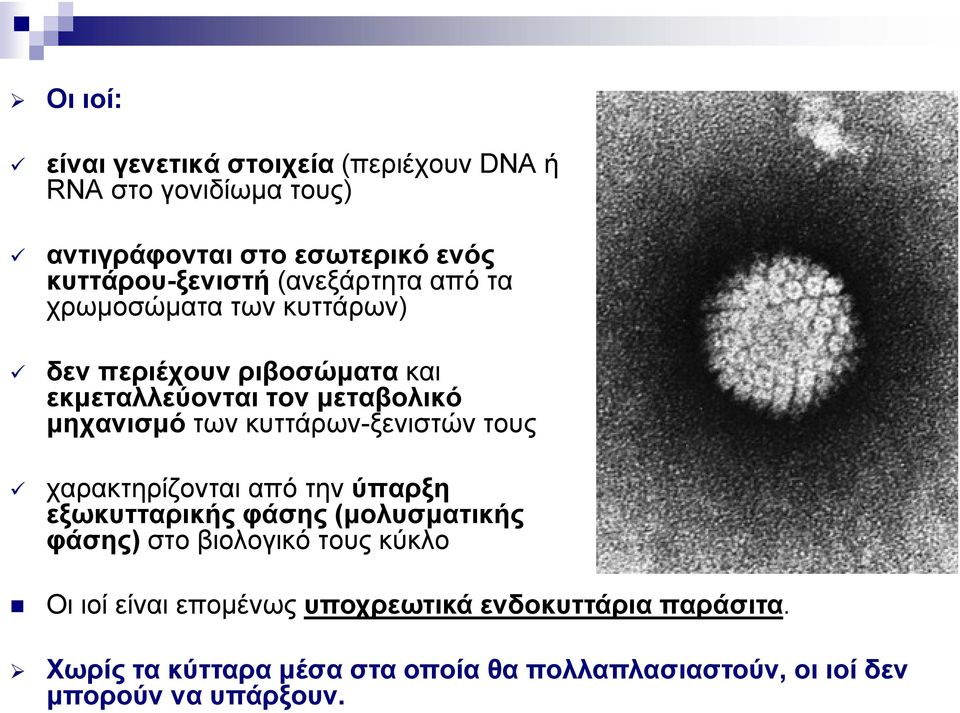 κυττάρων-ξενιστών τους χαρακτηρίζονται από την ύπαρξη εξωκυτταρικής φάσης (μολυσματικής φάσης) στο βιολογικό τους κύκλο Οι ιοί