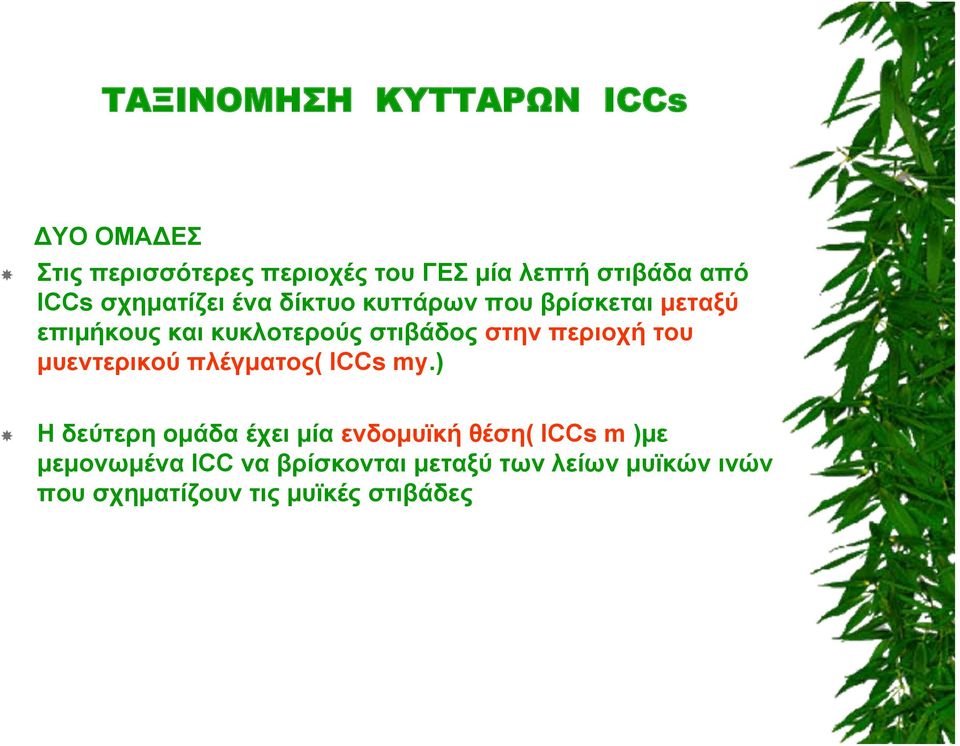 στην περιοχή του μυεντερικού πλέγματος( ICCs my.
