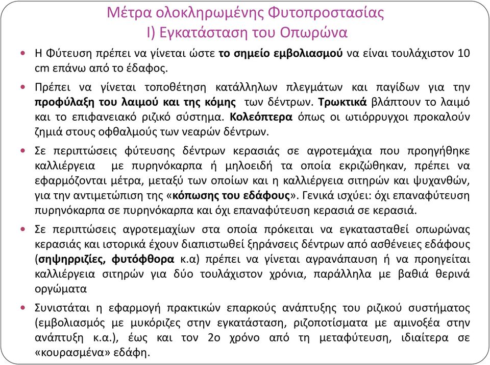 Κολεόπτερα όπως οι ωτιόρρυγχοι προκαλούν ζημιά στους οφθαλμούς των νεαρών δέντρων.