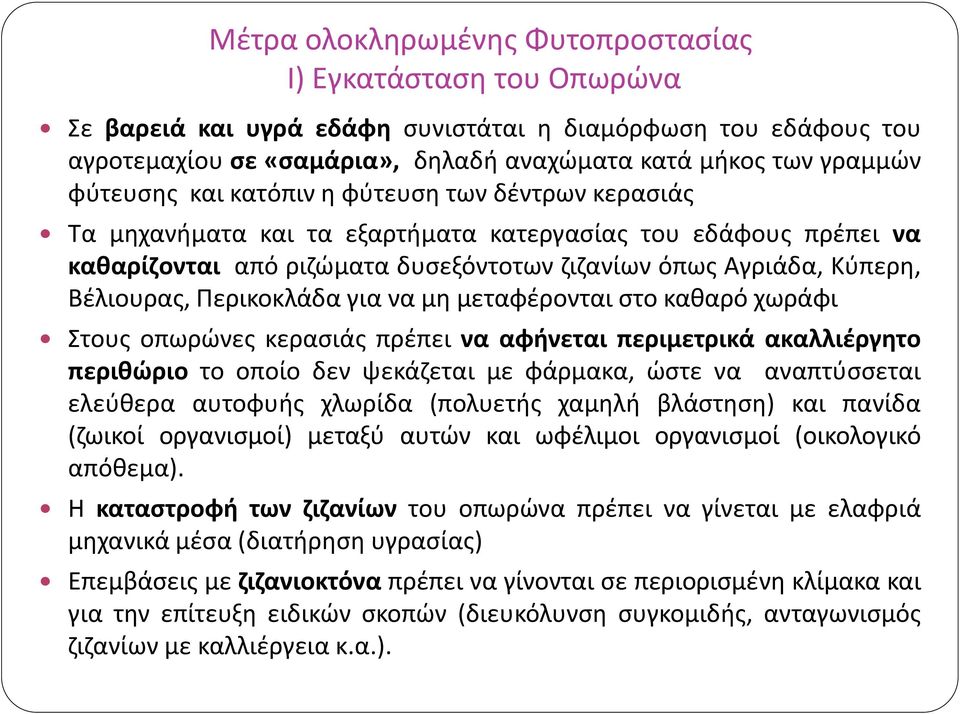 στο καθαρό χωράφι Στους οπωρώνες κερασιάς πρέπει να αφήνεται περιμετρικά ακαλλιέργητο περιθώριο το οποίο δεν ψεκάζεται με φάρμακα, ώστε να αναπτύσσεται ελεύθερα αυτοφυής χλωρίδα (πολυετής χαμηλή