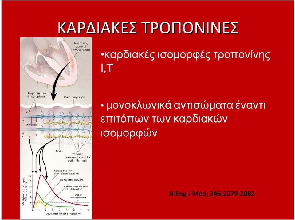 αντισώματα έναντι επιτόπων των