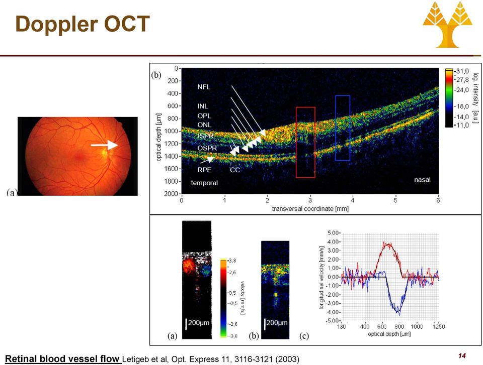 Letigeb et al, Opt.