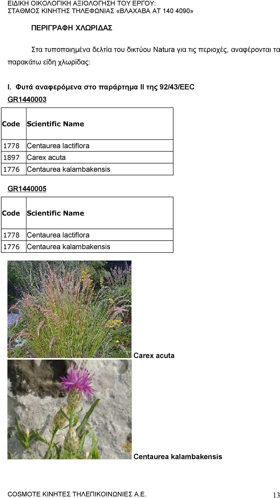 Φυτά αναφερόμενα στο παράρτημα IΙ της 92/43/EEC GR1440003 Code Scientific Name 1778 Centaurea lactiflora