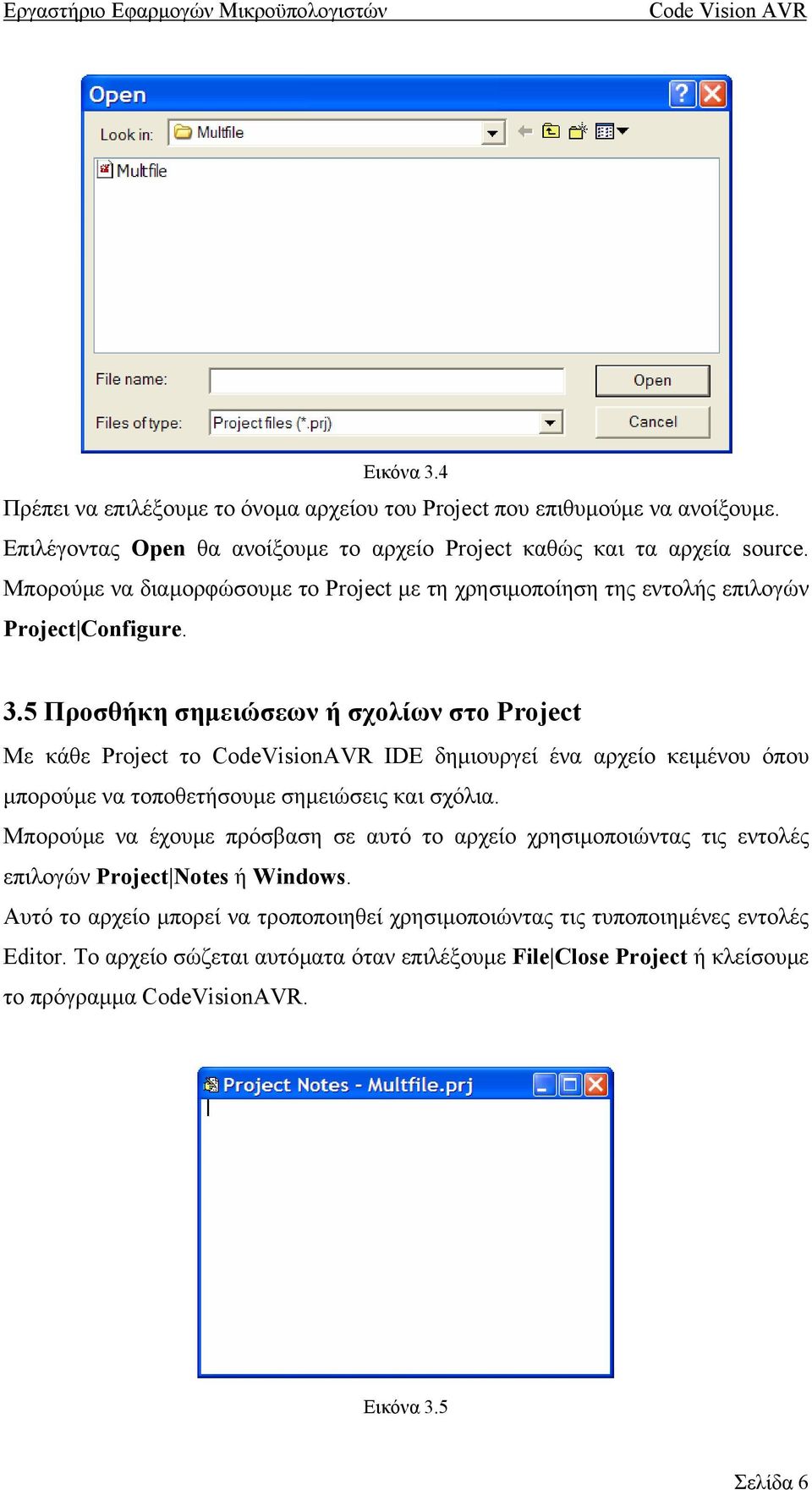 5 Προσθήκη σηµειώσεων ή σχολίων στο Project Με κάθε Project το CodeVisionAVR IDE δηµιουργεί ένα αρχείο κειµένου όπου µπορούµε να τοποθετήσουµε σηµειώσεις και σχόλια.