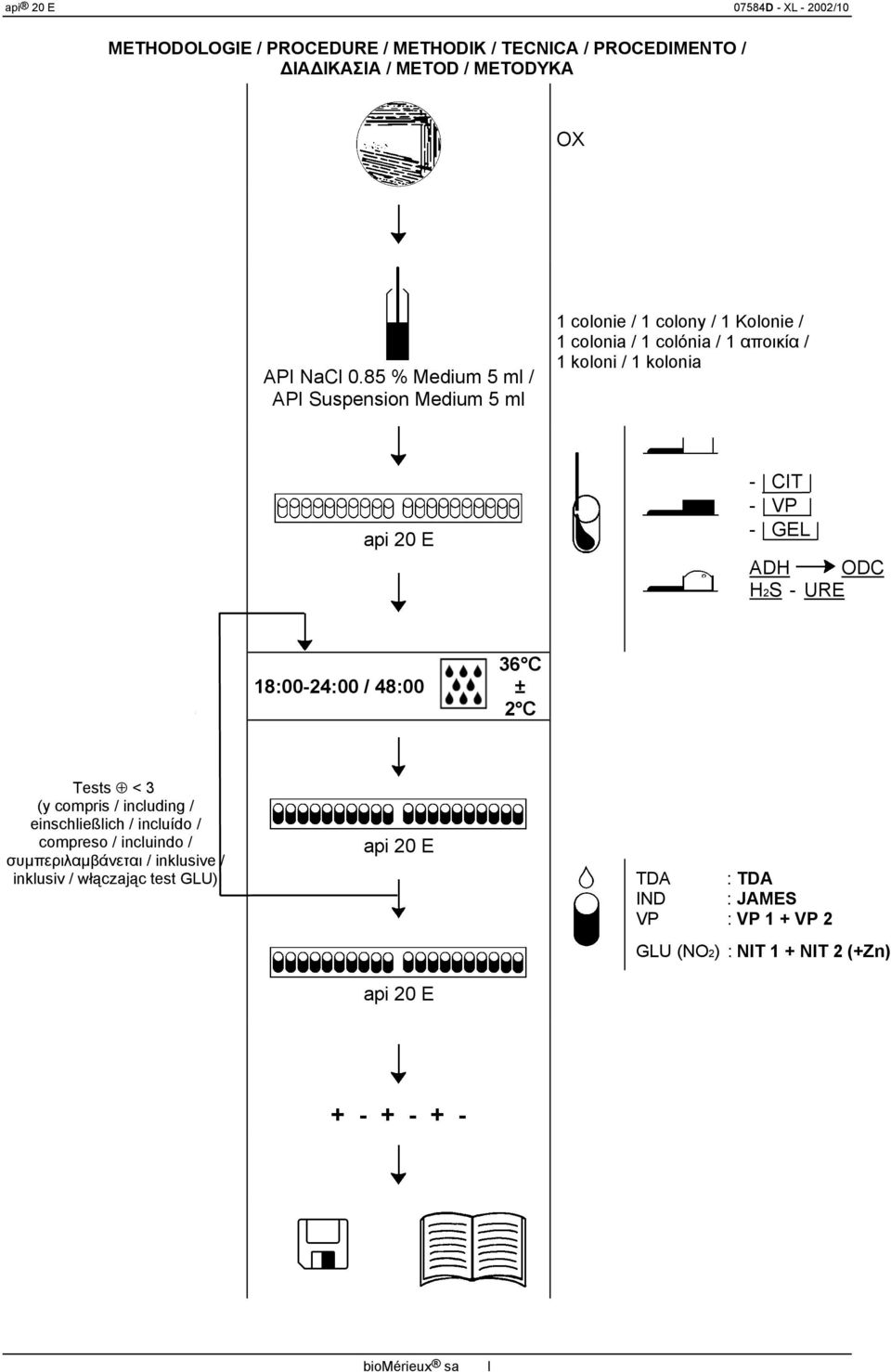 kolonia - CIT - VP - GEL ADH ODC H2S - URE 18:00-24:00 / 48:00 36 C ± 2 C Tests < 3 (y compris / including / einschließlich / incluído