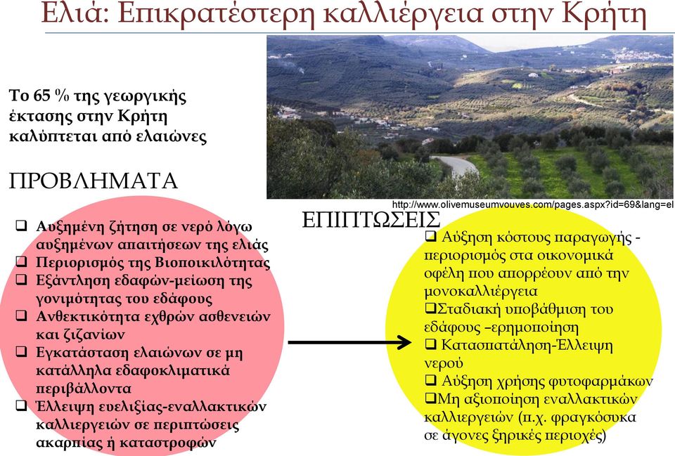 ευελιξίας-εναλλακτικών καλλιεργειών σε περιπτώσεις ακαρπίας ή καταστροφών ΕΠΙΠΤΩΣΕΙΣ http://www.olivemuseumvouves.com/pages.aspx?