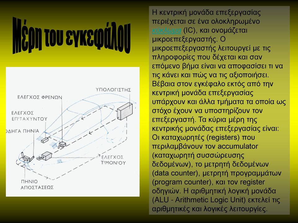 Βέβαια στον εγκέφαλο εκτός από την κεντρική μονάδα επεξεργασίας υπάρχουν και άλλα τμήματα τα οποία ως στόχο έχουν να υποστηρίζουν τον επεξεργαστή.