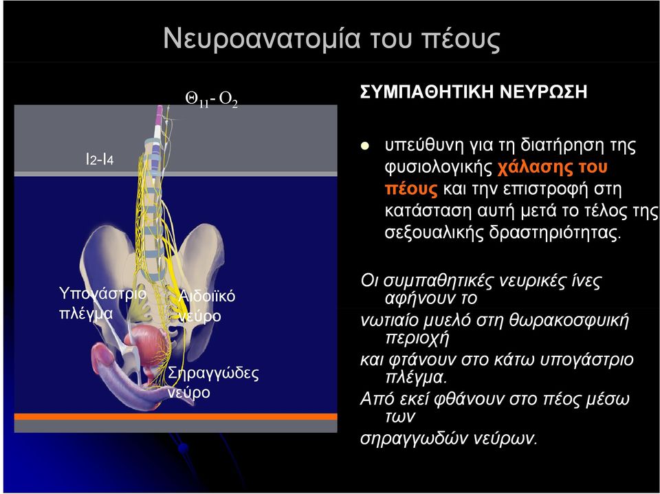 το τέλος της σεξουαλικής δραστηριότητας.