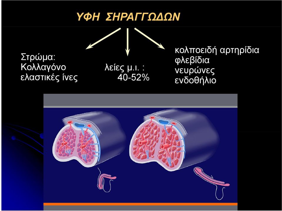 λείες μ.ι.