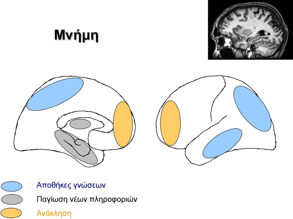 γνώσεων