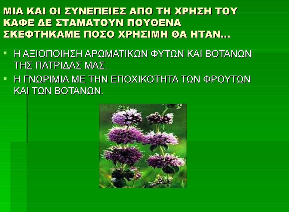 ΑΞΙΟΠΟΙΗΣΗ ΑΡΩΜΑΤΙΚΩΝ ΦΥΤΩΝ ΚΑΙ ΒΟΤΑΝΩΝ ΤΗΣ ΠΑΤΡΙΔΑΣ