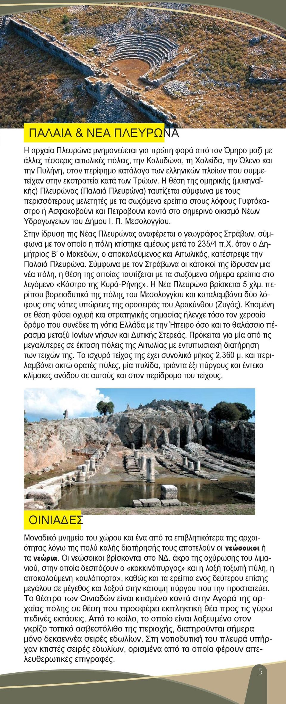 Η θέση της ομηρικής (μυκηναϊκής) Πλευρώνας (Παλαιά Πλευρώνα) ταυτίζεται σύμφωνα με τους περισσότερους μελετητές με τα σωζόμενα ερείπια στους λόφους Γυφτόκαστρο ή Ασφακοβούνι και Πετροβούνι κοντά στο