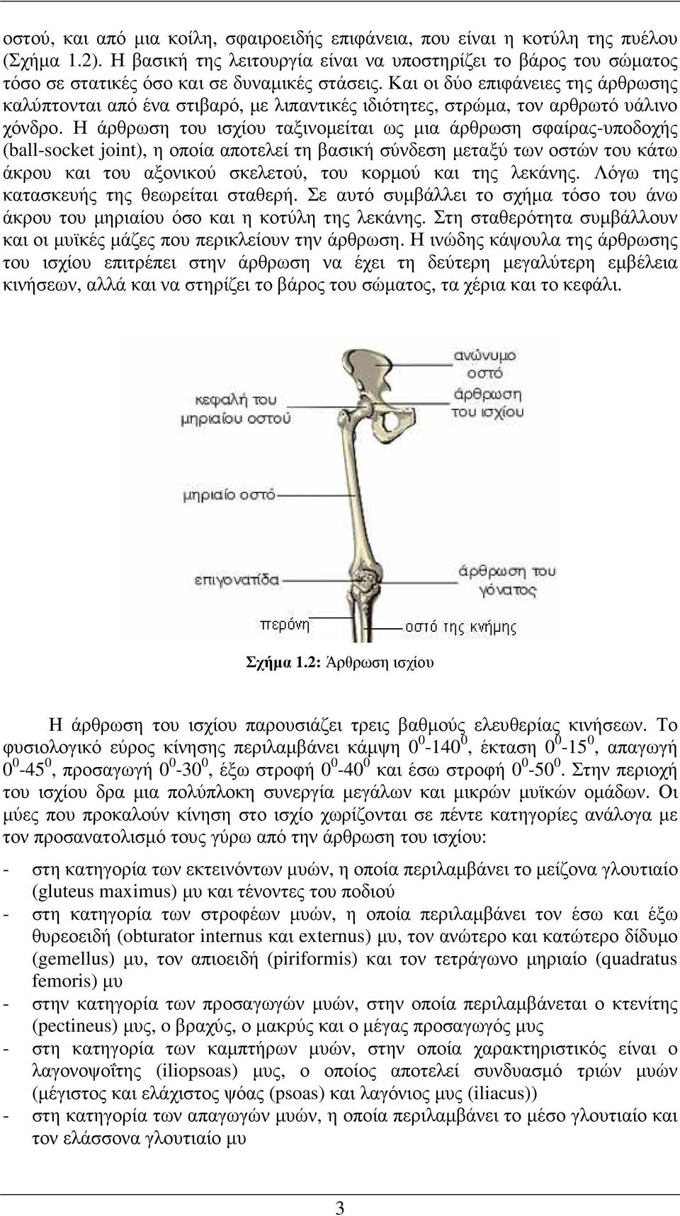 Και οι δύο επιφάνειες της άρθρωσης καλύπτονται από ένα στιβαρό, µε λιπαντικές ιδιότητες, στρώµα, τον αρθρωτό υάλινο χόνδρο.