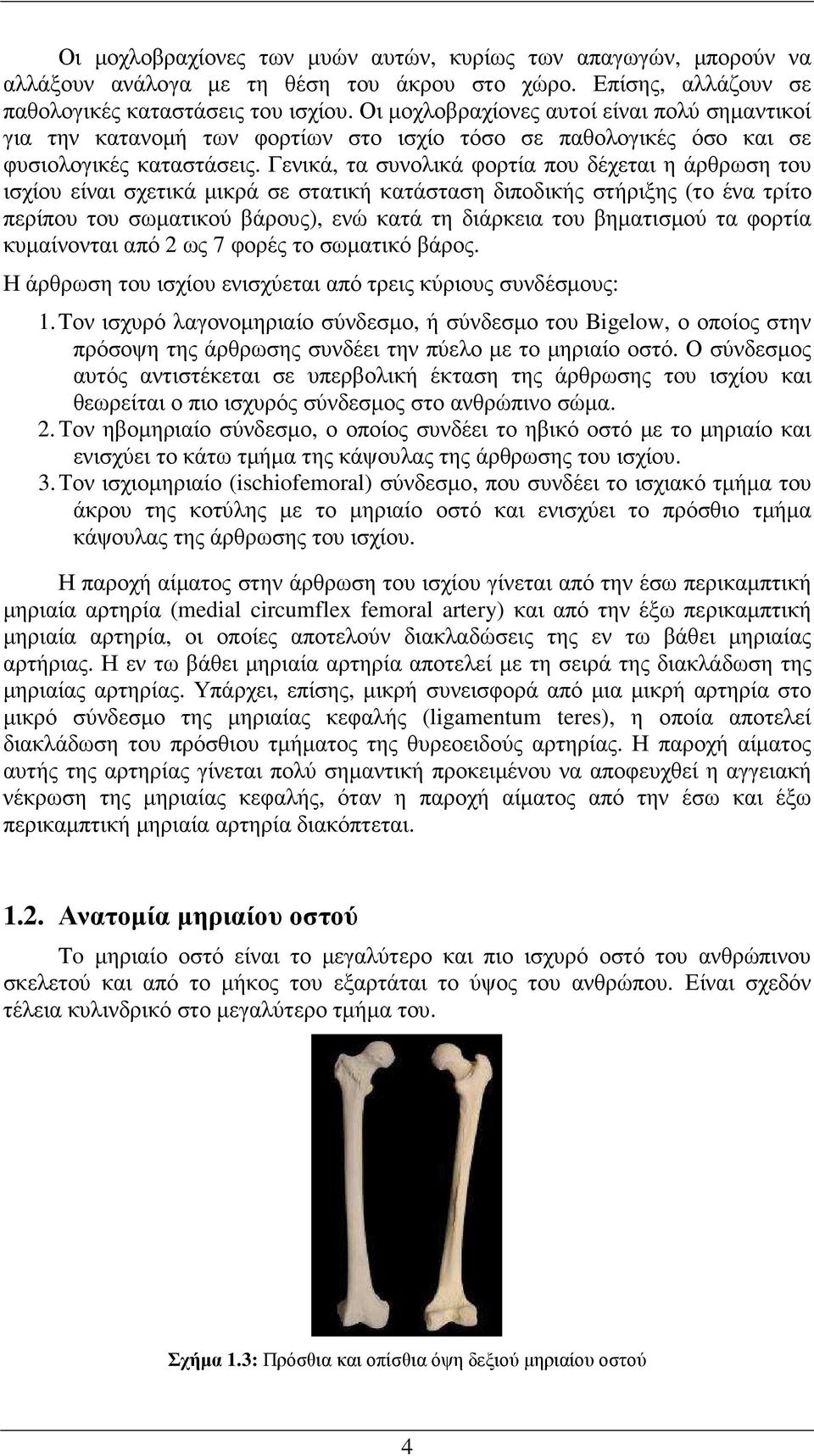 Γενικά, τα συνολικά φορτία που δέχεται η άρθρωση του ισχίου είναι σχετικά µικρά σε στατική κατάσταση διποδικής στήριξης (το ένα τρίτο περίπου του σωµατικού βάρους), ενώ κατά τη διάρκεια του