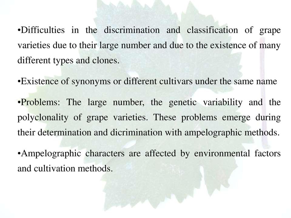 Existence of synonyms or different cultivars under the same name Problems: The large number, the genetic variability and the