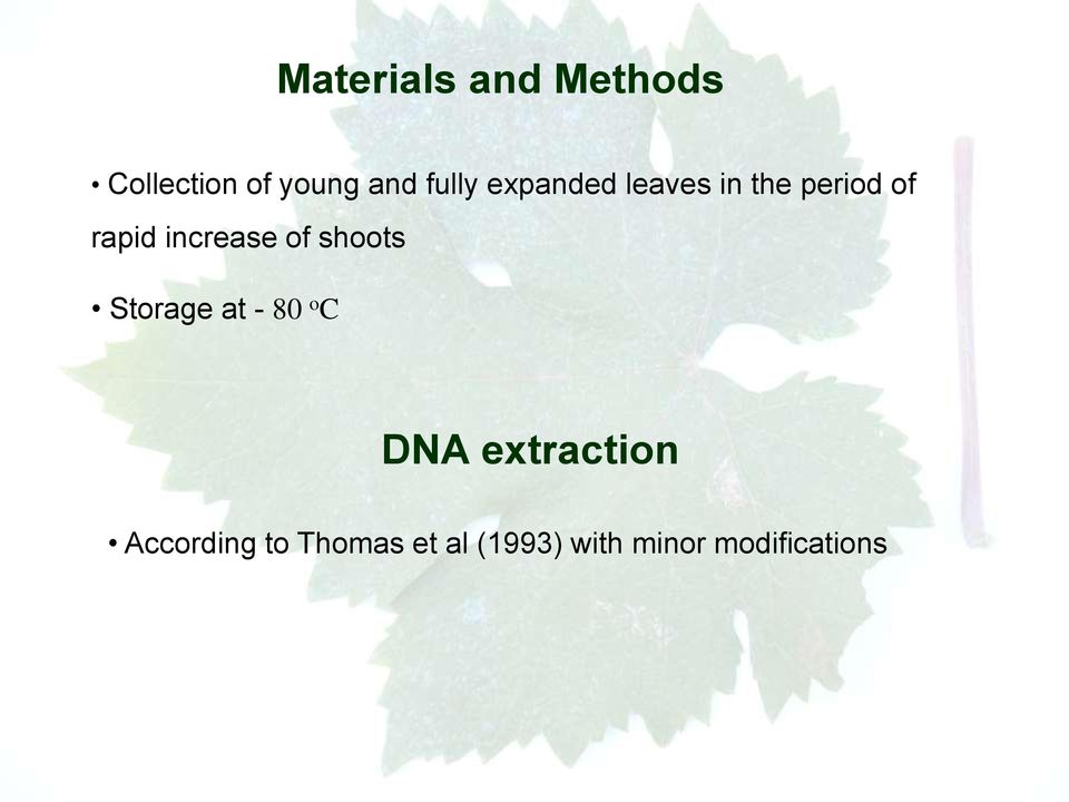 increase of shoots Storage at - 80 o C DNA