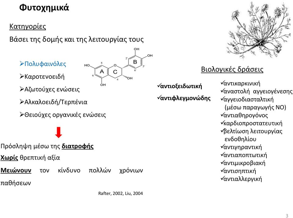 A C OH B Rafter, 2002, Liu, 2004 6' 5' OH αντιοξειδωτική αντιφλεγμονώδης Βιολογικές δράσεις αντικαρκινική αναστολή αγγειογένεσης