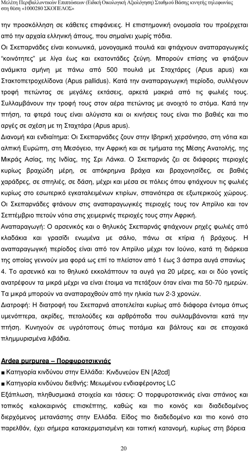 Μπορούν επίσης να φτιάξουν ανάµικτα σµήνη µε πάνω από 500 πουλιά µε Σταχτάρες (Apus apus) και Στακτοπετροχελίδονα (Apus pallidus).