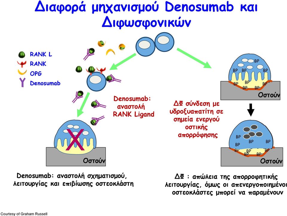 BP BP BP BP BP BP BP BP Οστούν Denosumab: αναστολή σχηµατισµού, λειτουργίας και επιβίωσης οστεοκλάστη ΔΦ : απώλεια