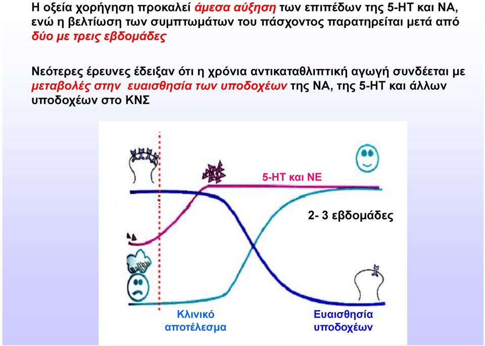 ότι η χρόνια αντικαταθλιπτική αγωγή συνδέεται με μεταβολές στην ευαισθησία των υποδοχέων της