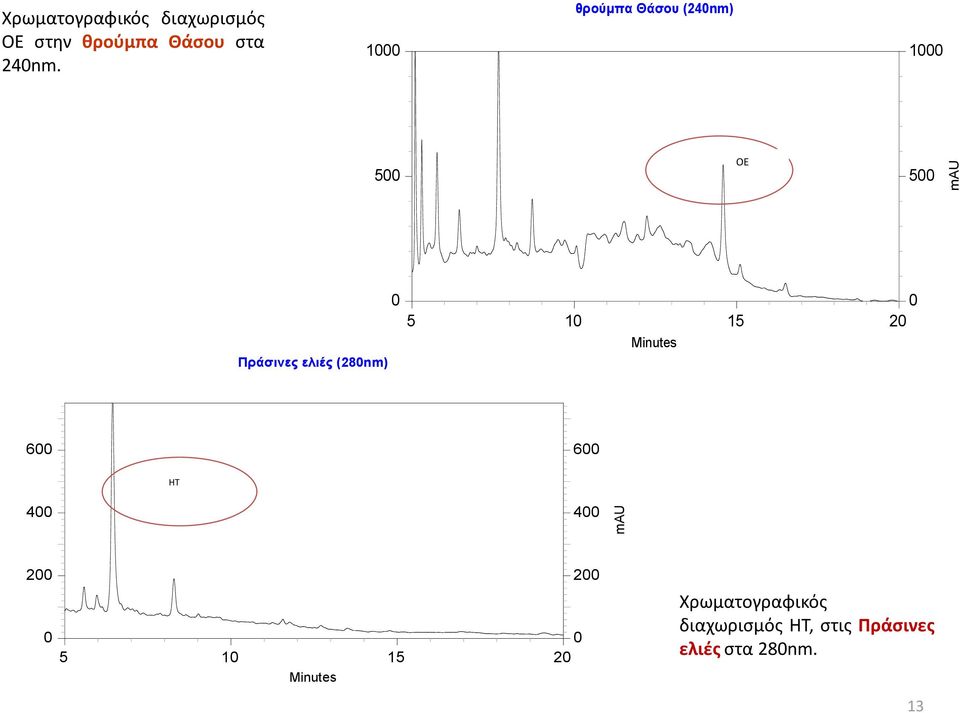 1 θρούμπα Θάσοσ (24nm) 1 5 OE 5 Πράσινες ελιές (28nm) 5 1