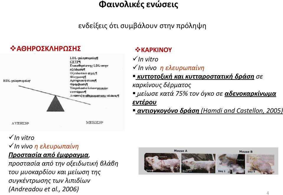 εντζρου αντιογκογόνο δράςη (Ηamdi and Castellon, 25) In vitro In vivo η ελευρωπαίνη Προςταςία από ζμφραγμα,