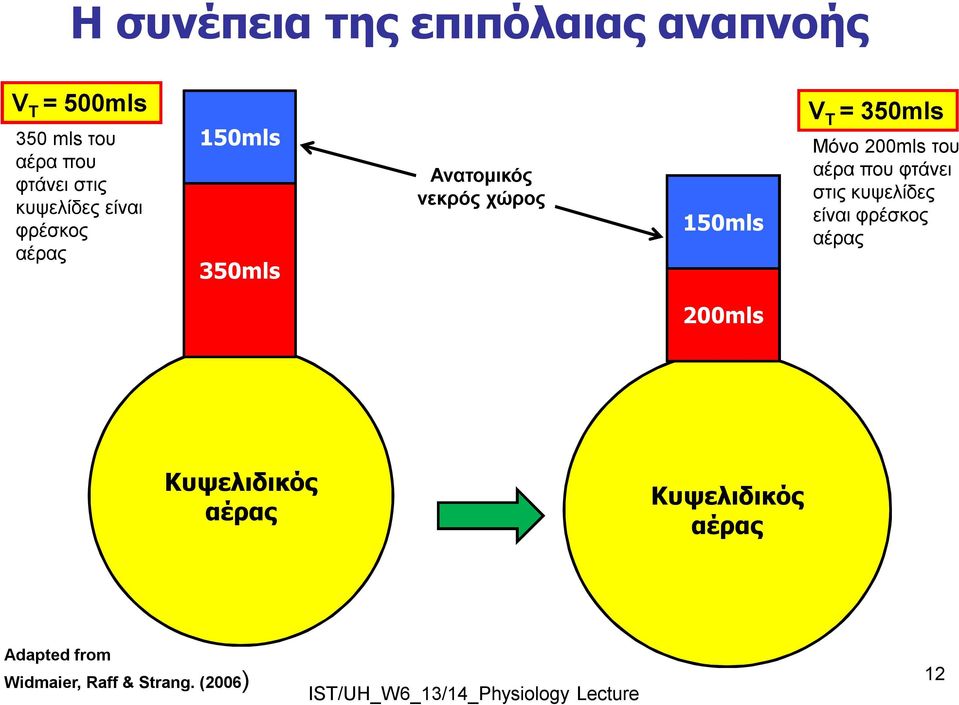 350mls Μόνο 200mls του αέρα που φτάνει στις κυψελίδες είναι φρέσκος αέρας 200mls