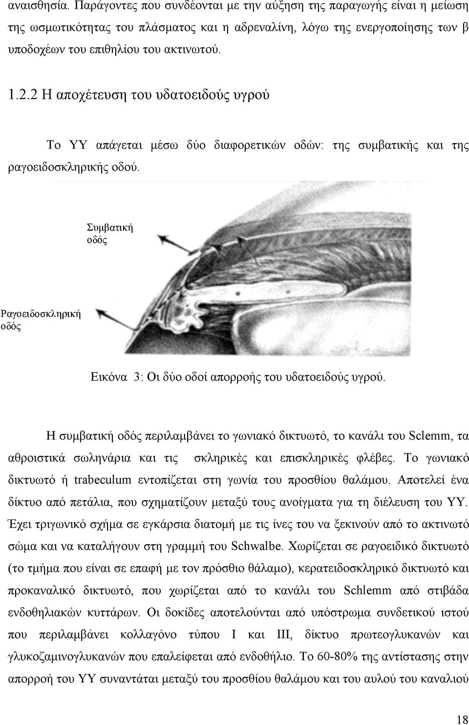 Συµβατική οδός Ραγοειδοσκληρική οδός Εικόνα 3: Οι δύο οδοί απορροής του υδατοειδούς υγρού.