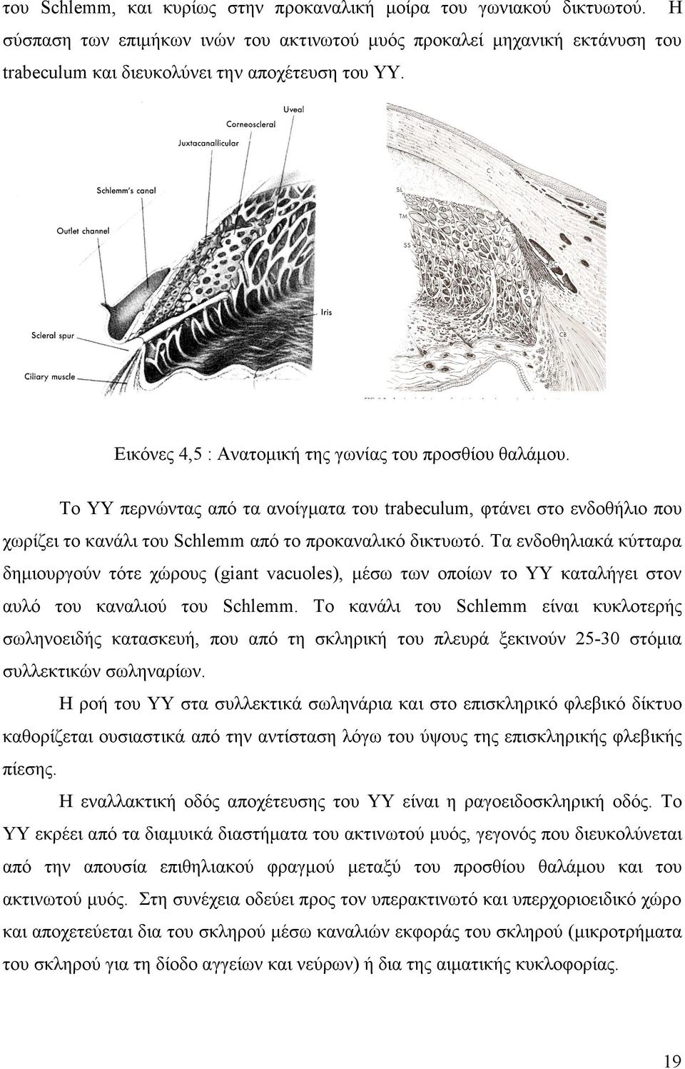 Τα ενδοθηλιακά κύτταρα δηµιουργούν τότε χώρους (giant vacuoles), µέσω των οποίων το ΥΥ καταλήγει στον αυλό του καναλιού του Schlemm.