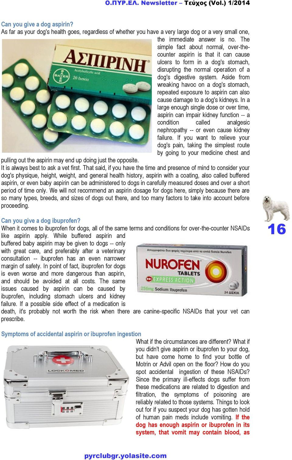 Aside from wreaking havoc on a dog's stomach, repeated exposure to aspirin can also cause damage to a dog's kidneys.